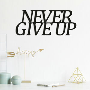 Nástěnná dekorace kov NEVER GIVE UP 50 x 20 cm