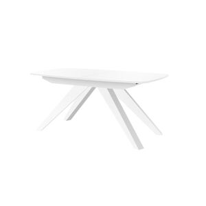 Rozkládací jídelní stůl MAKANI Barva nábytku: Bílý lesk