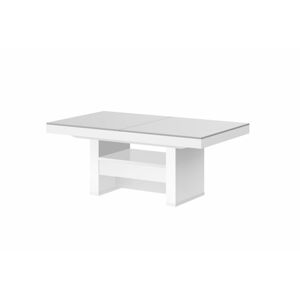 Konferenční stolek AVERSA LUX MAT Barva nábytku: Světle šedo/bílý