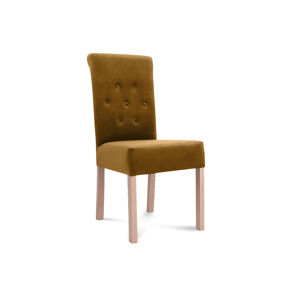 Jídelní židle Gladio žlutá